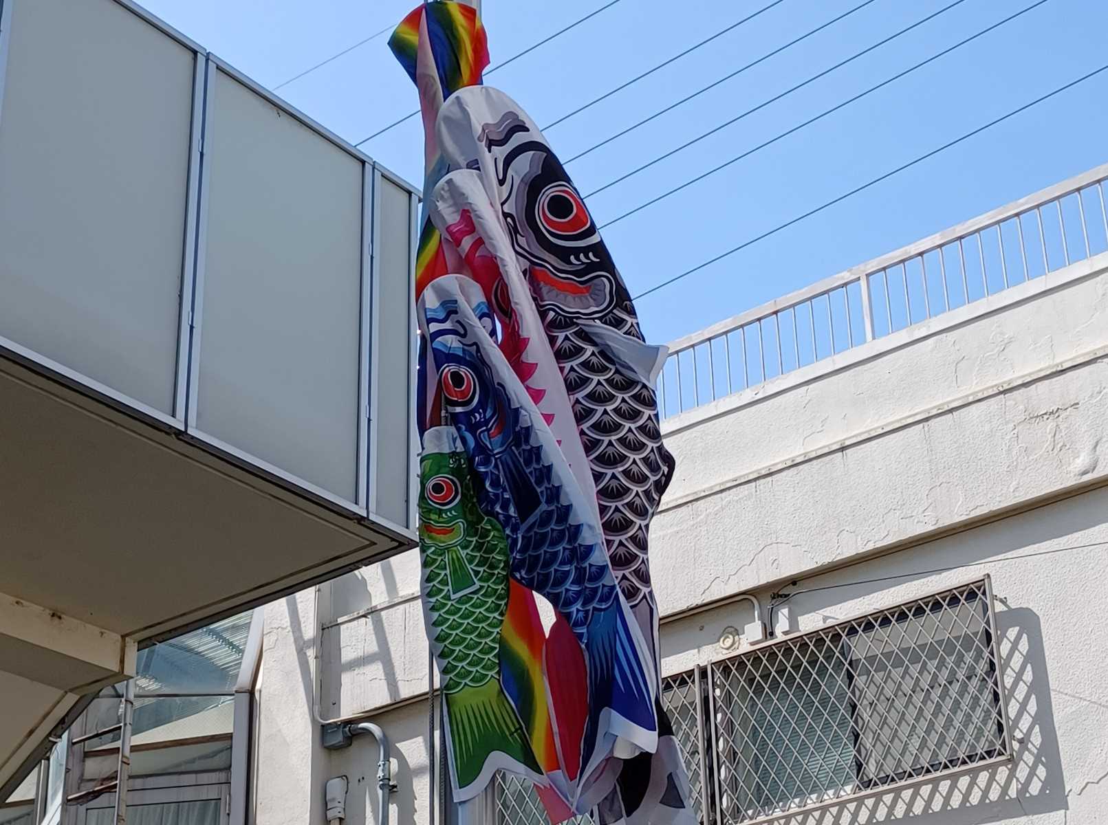 こどもの日☆鯉のぼり | 東京都国立市の児童養護施設 生長の家 神の国寮
